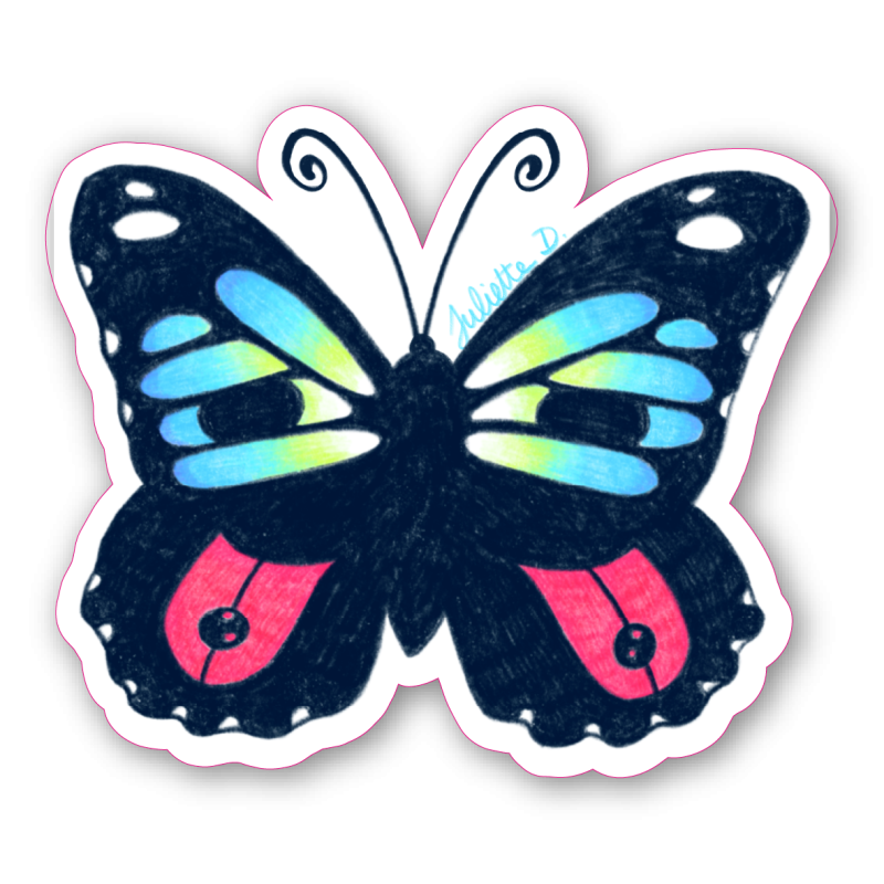 Papillon 2