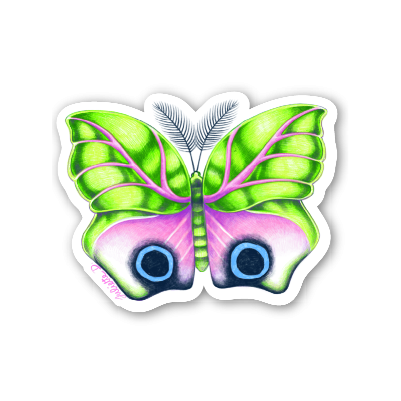 Papillon 4