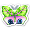 Papillon 4