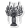 5_Langouste