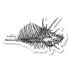 8_Murex