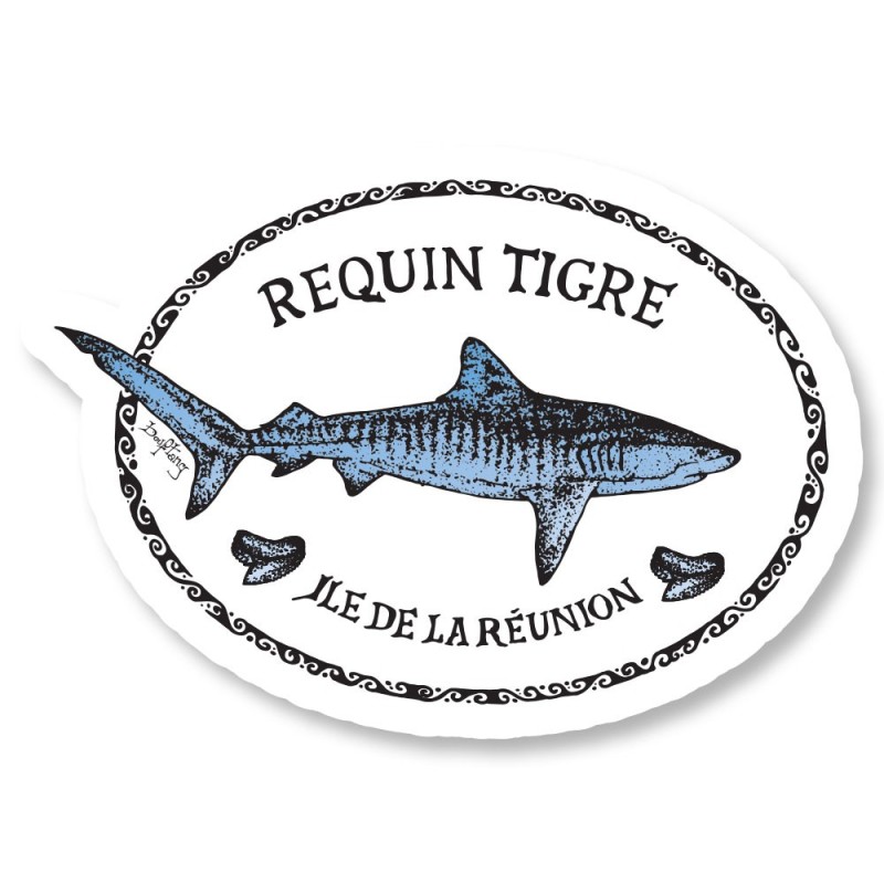 13.2_Requin tigre
