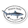 13.2_Requin tigre