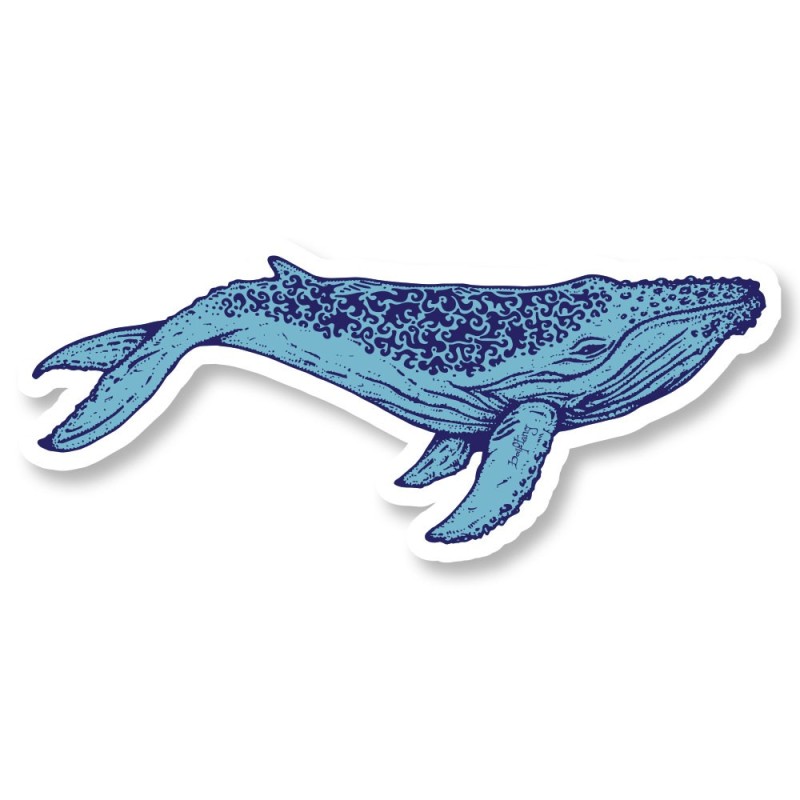 19.3_Baleine