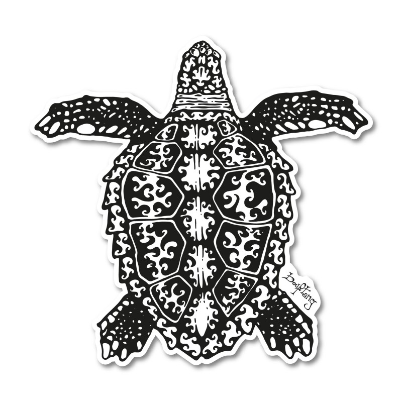 23_Tortue carret