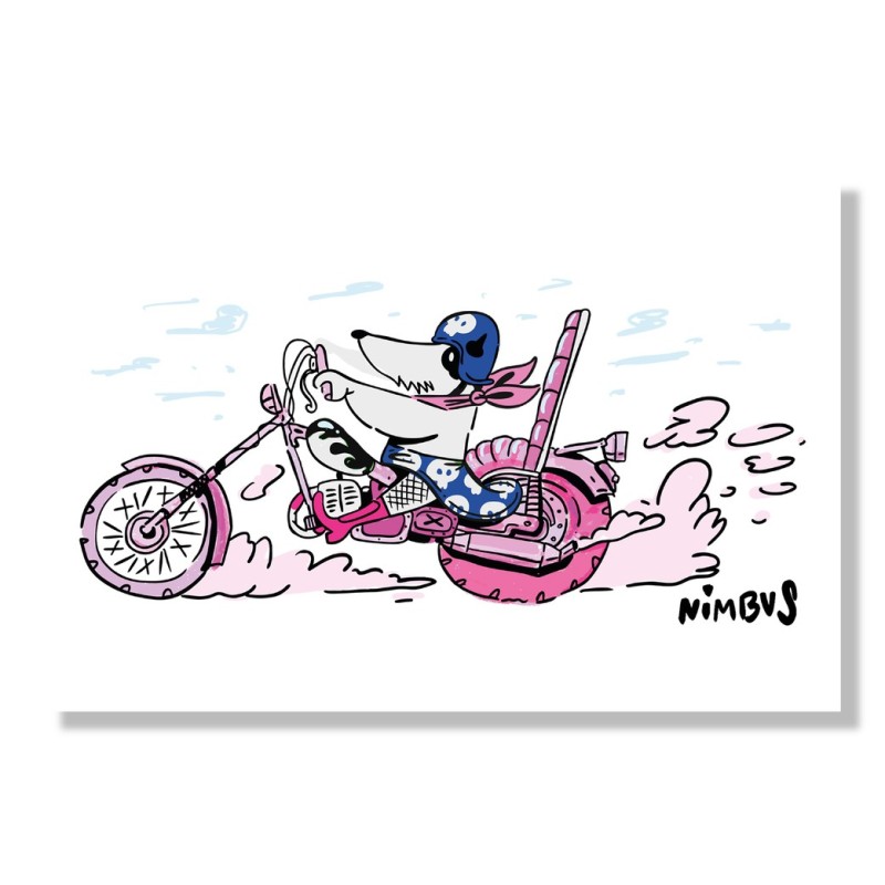 Motard