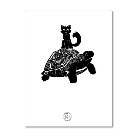 Chat sur tortue