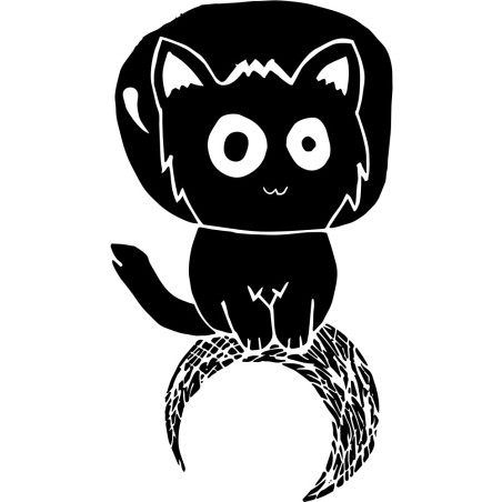Chat sur Lune