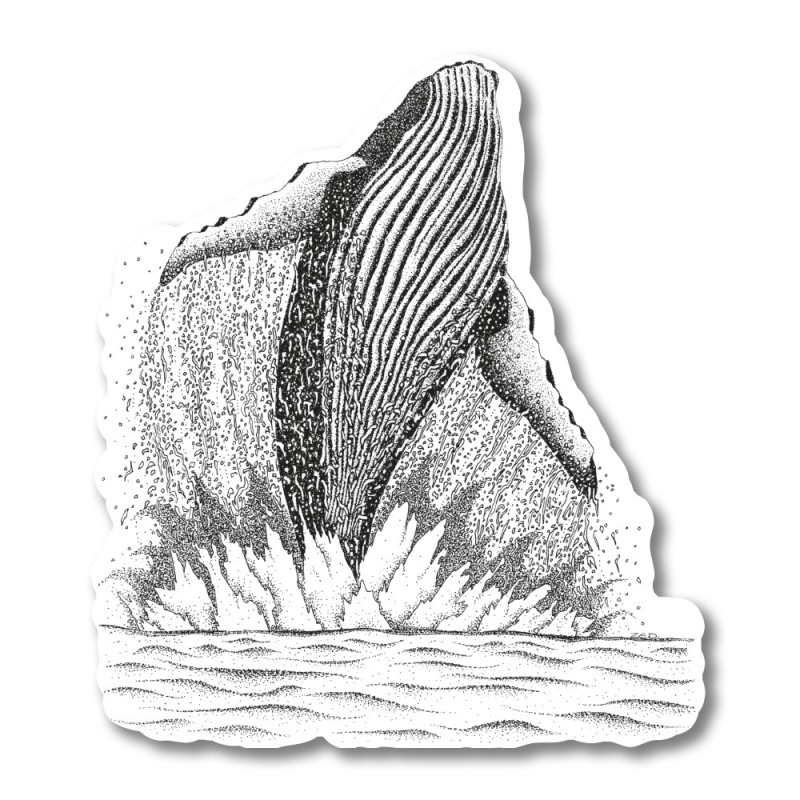 Baleine
