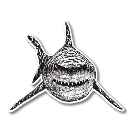 Shark