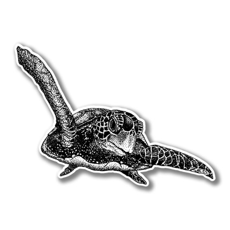 Tortue