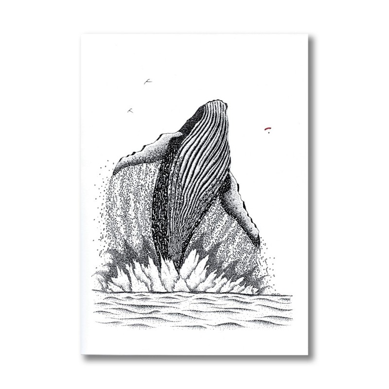 Baleine