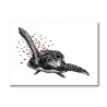 Tortue