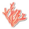 Corail