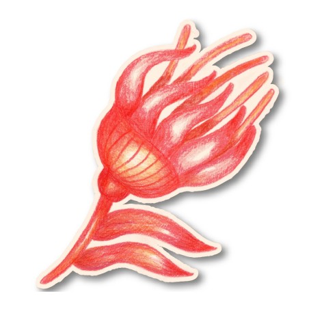 Flower 3