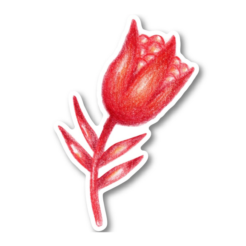 Flower 4