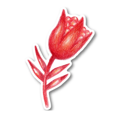 Flower 4