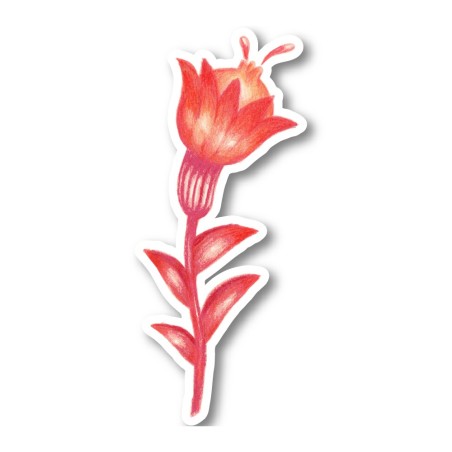 Flower 8