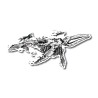 Baleine cycle