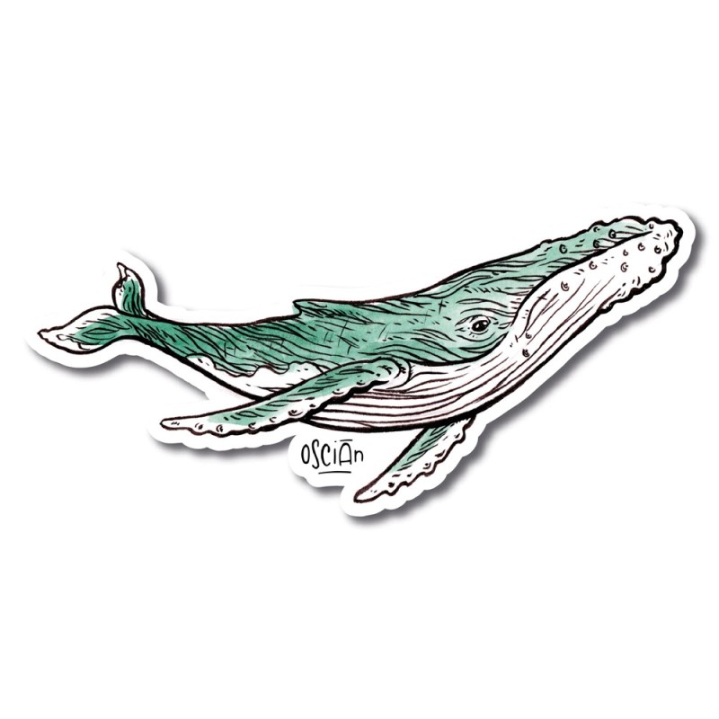 Baleine