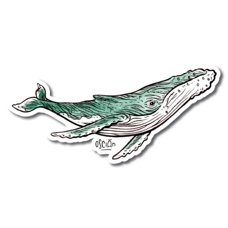 Baleine