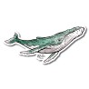 Baleine