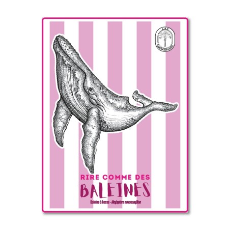Baleine