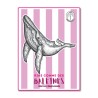 Baleine