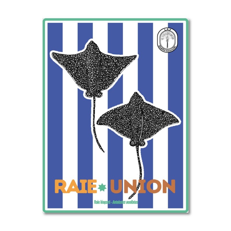 Raies