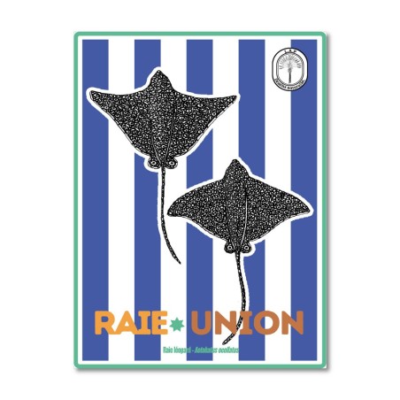 Raies