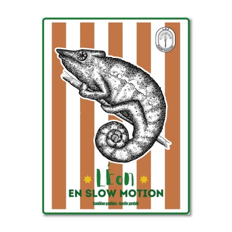 L'endormi