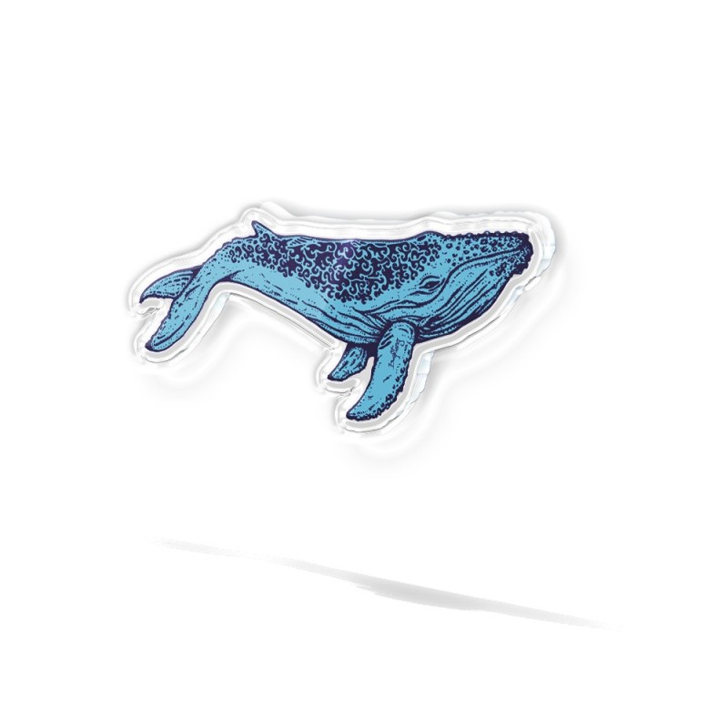 19.3_Baleine