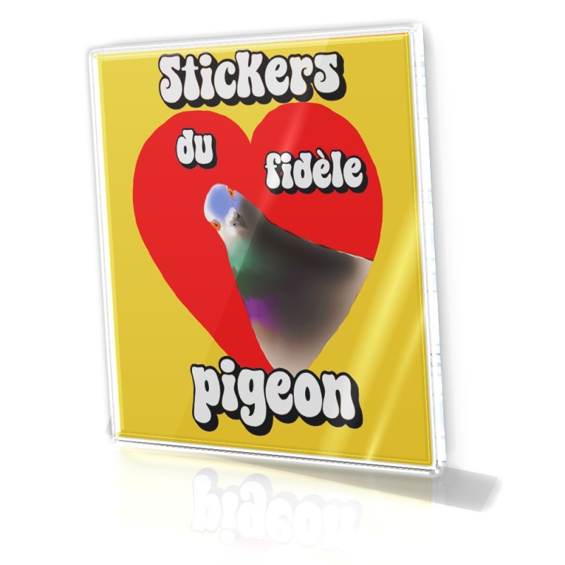 Le fidèle pigeon