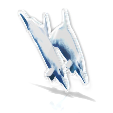 Sortie607-20