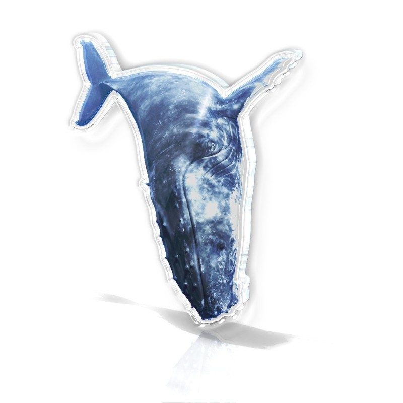 Baleine-14