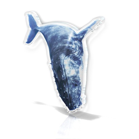 Baleine-14