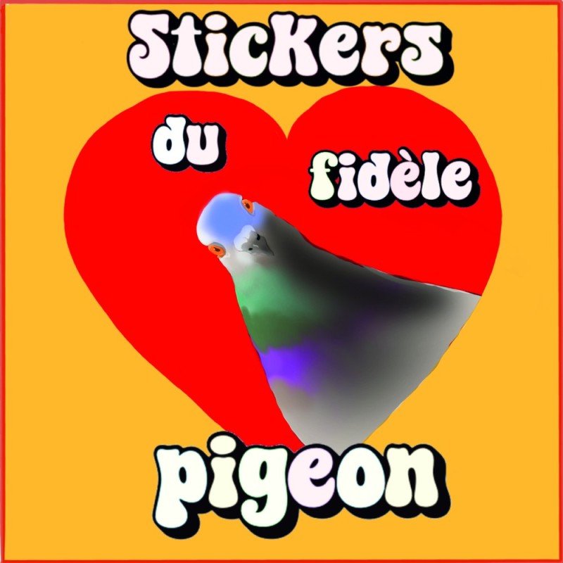 Le fidèle pigeon
