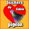 Le fidèle pigeon