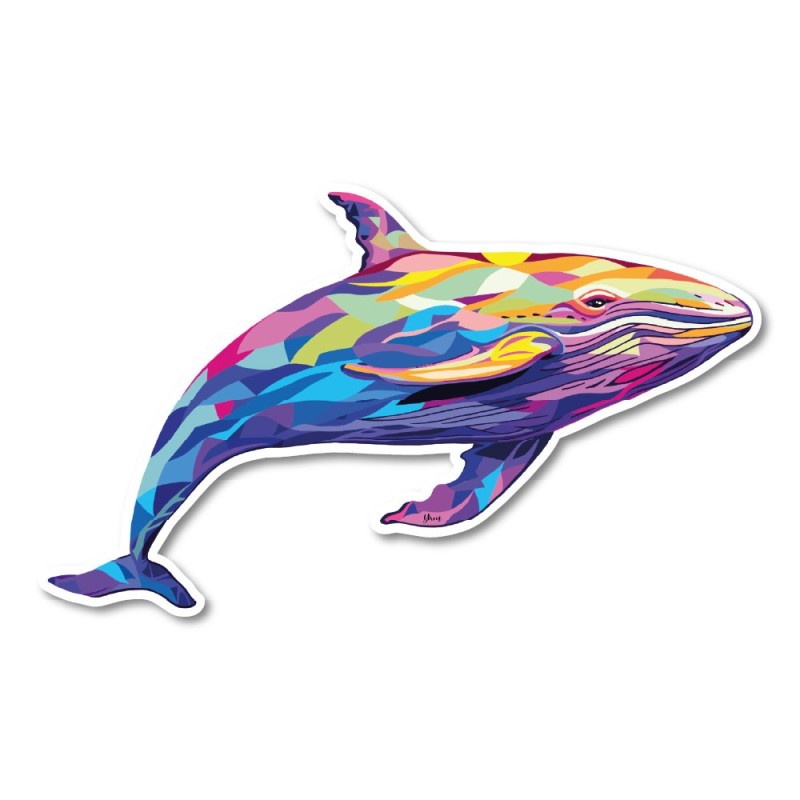 Baleine australe