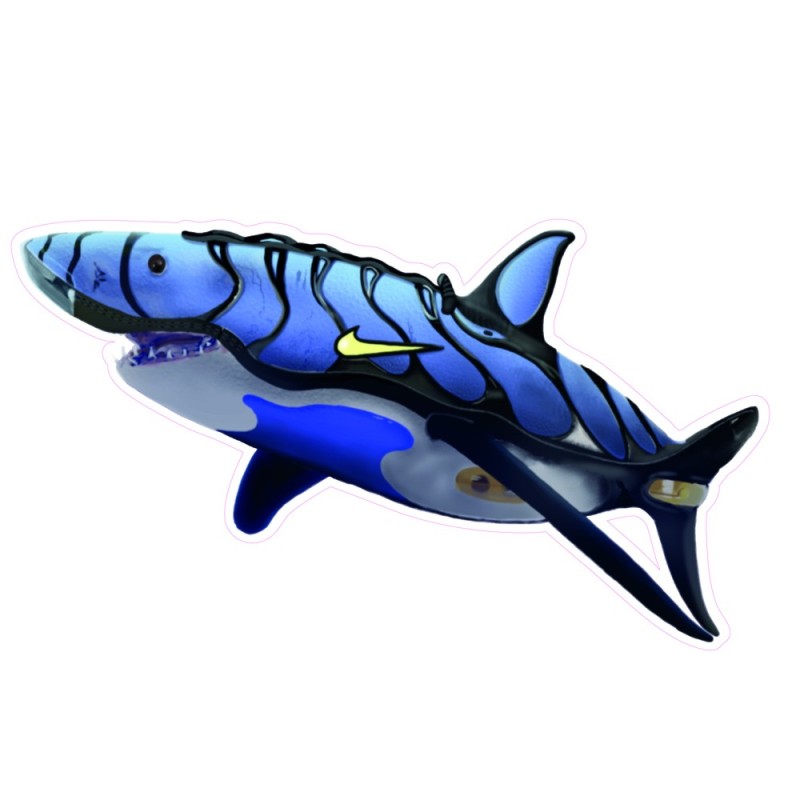 Requin TN