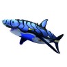 Requin TN